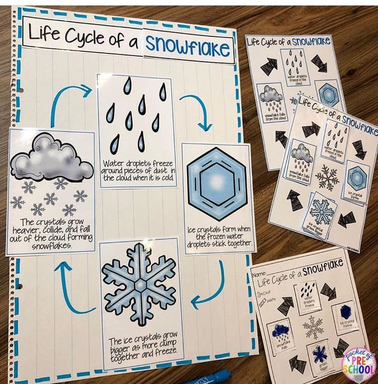 Pin By Samantha Sherie On Kinder Science Social Studies Winter 