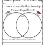 Pin By Teacher Techniques On Reading Butterfly Life Cycle Life