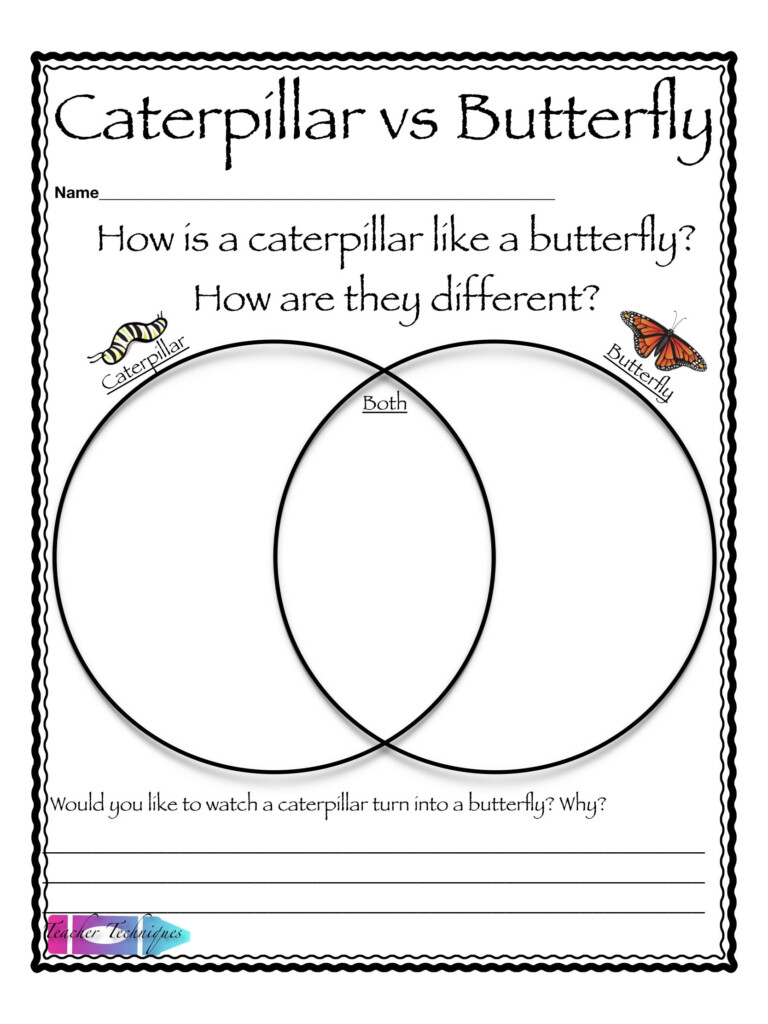 Pin By Teacher Techniques On Reading Butterfly Life Cycle Life 