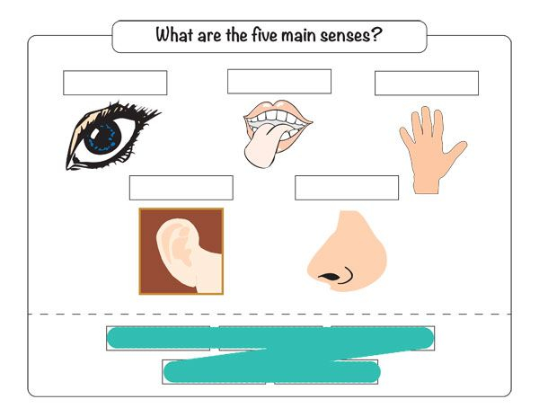 Pin On Classical Conversations Cycle 3 Science