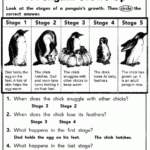 Pin On Curriculum Unit Penguins