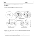 Pin On Igcse