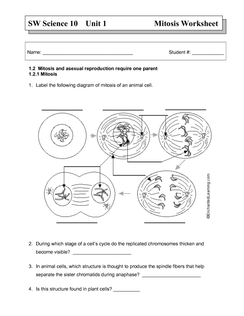 Pin On Igcse