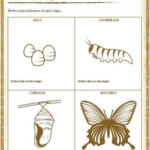 Pin On Printable Blank Worksheet Templates