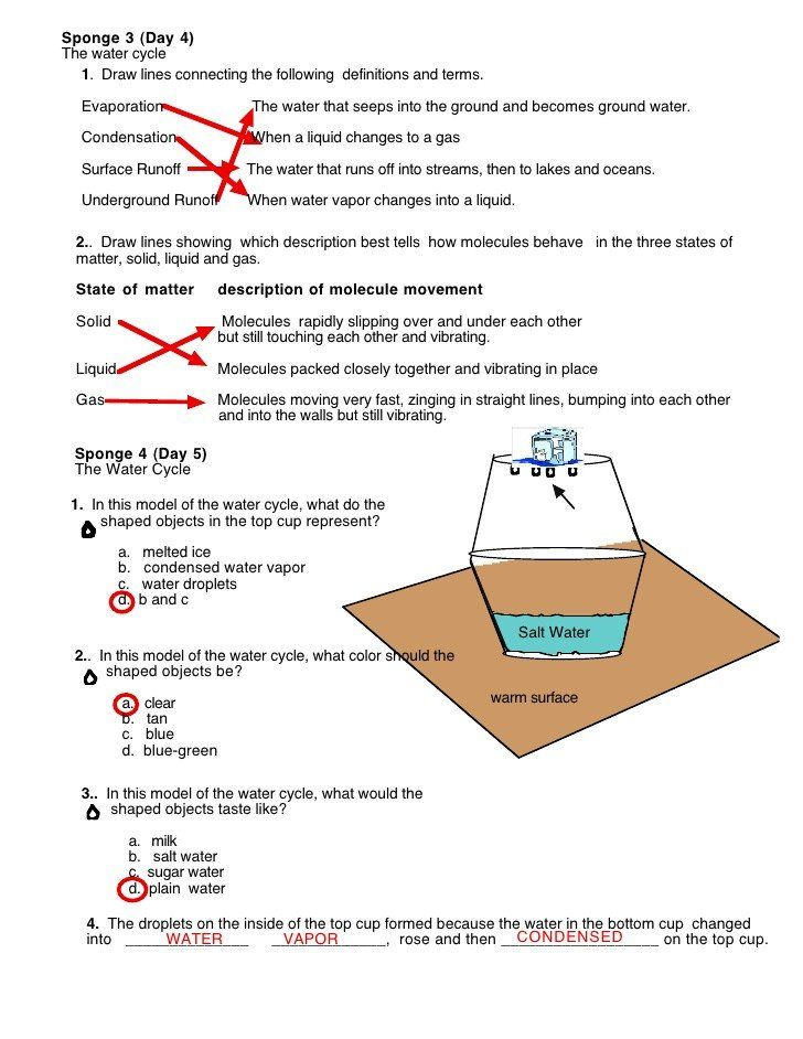 Pin On Worksheet Template For Teachers