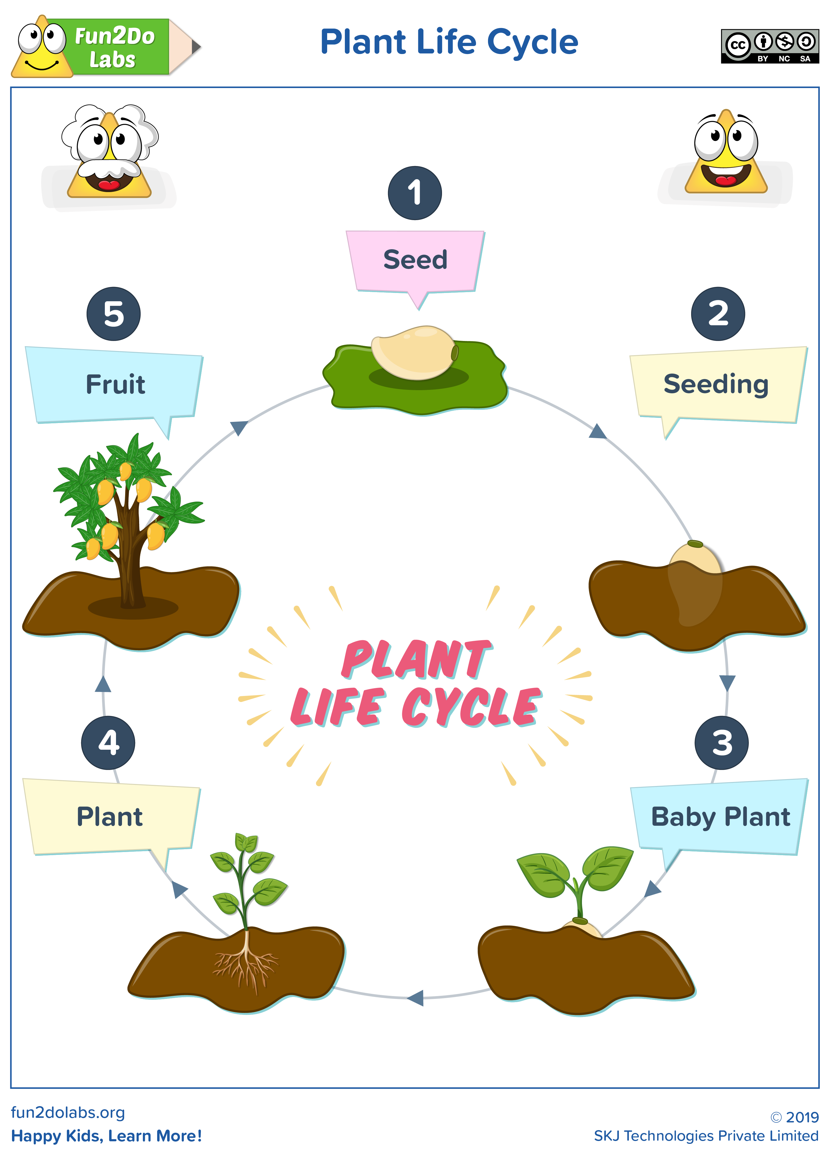 Plant Life Cycle Plant Life Cycle Cycle For Kids Life Cycles