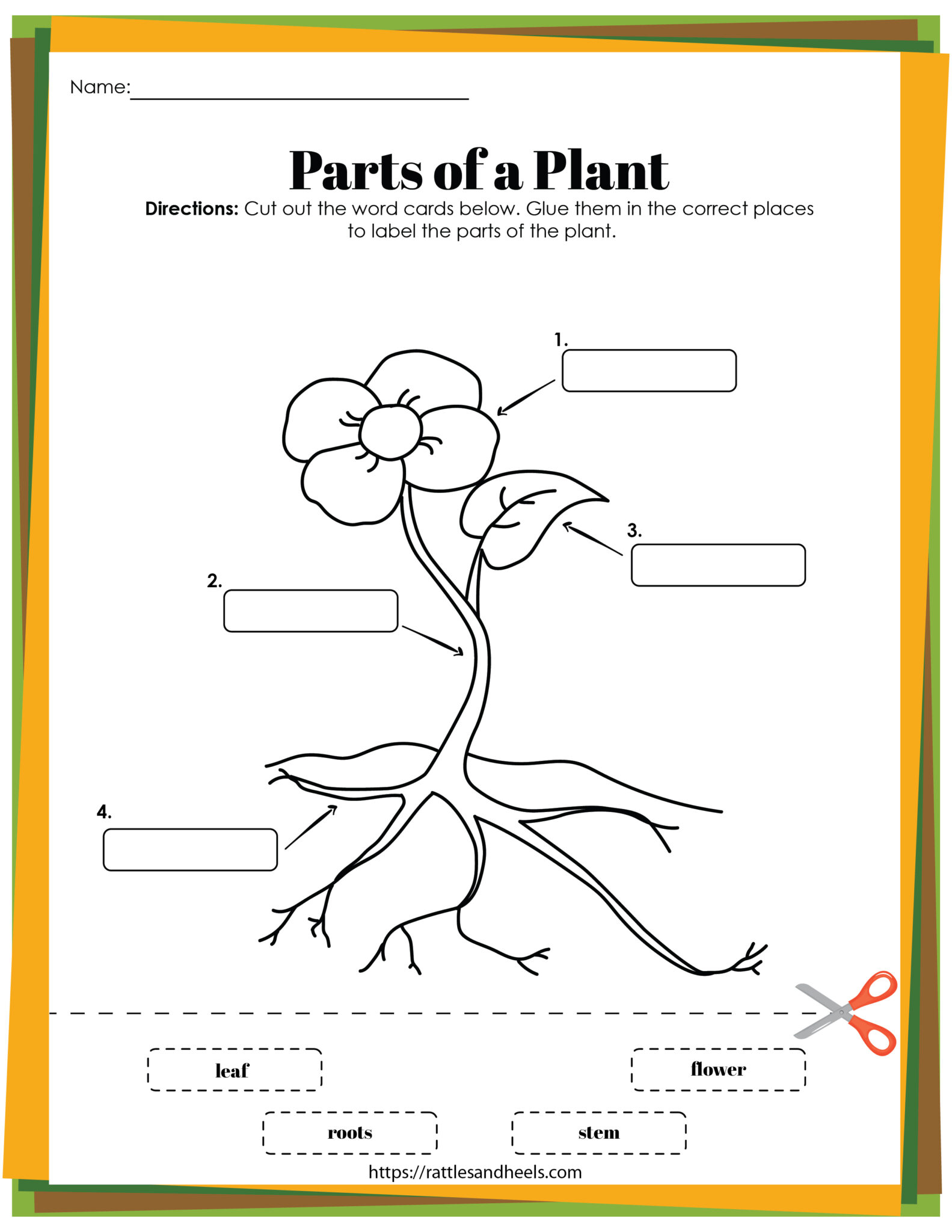 life-cycle-of-a-plant-flash-cards-printable-science-worksheet-for