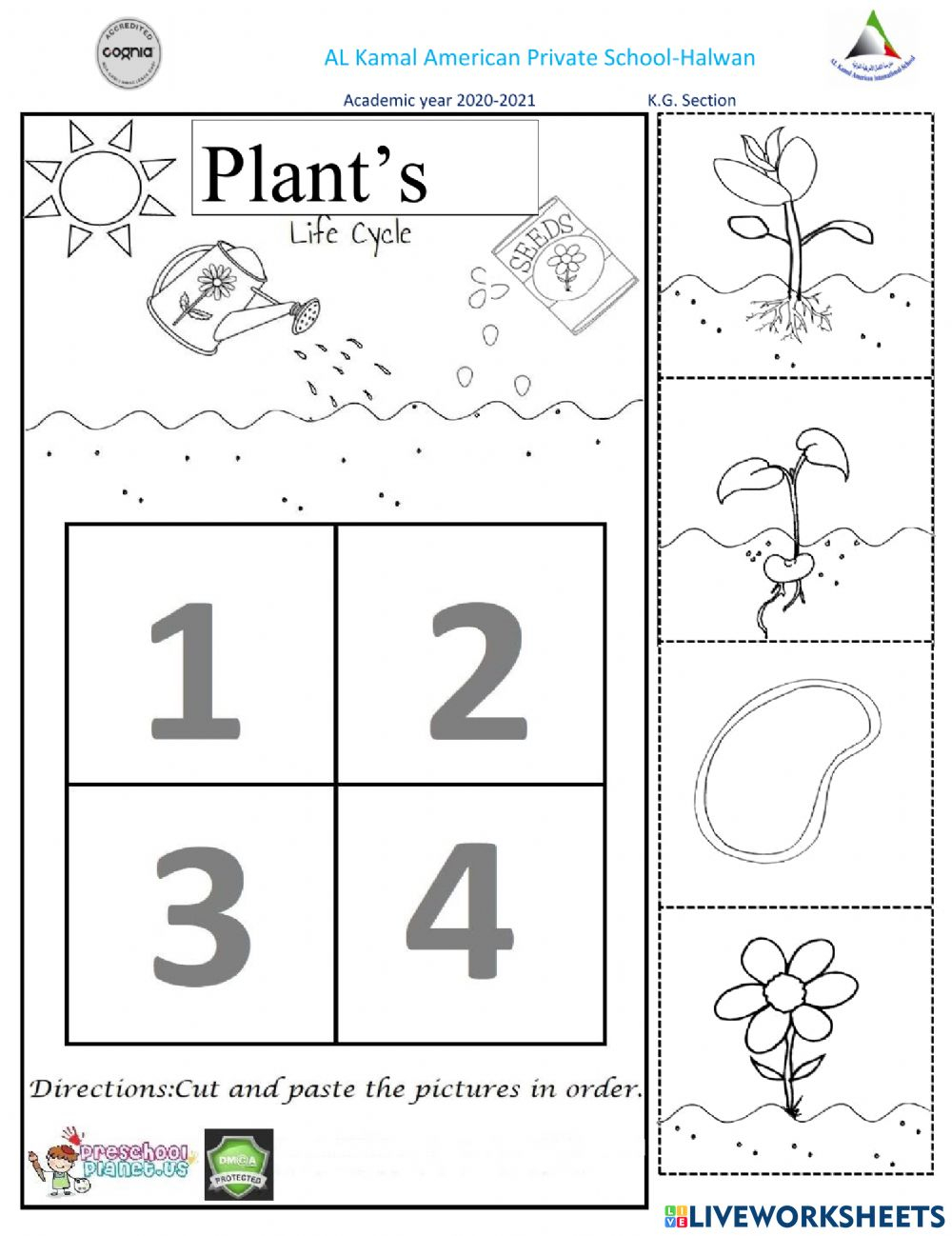 Plant s Life Cycle Worksheet