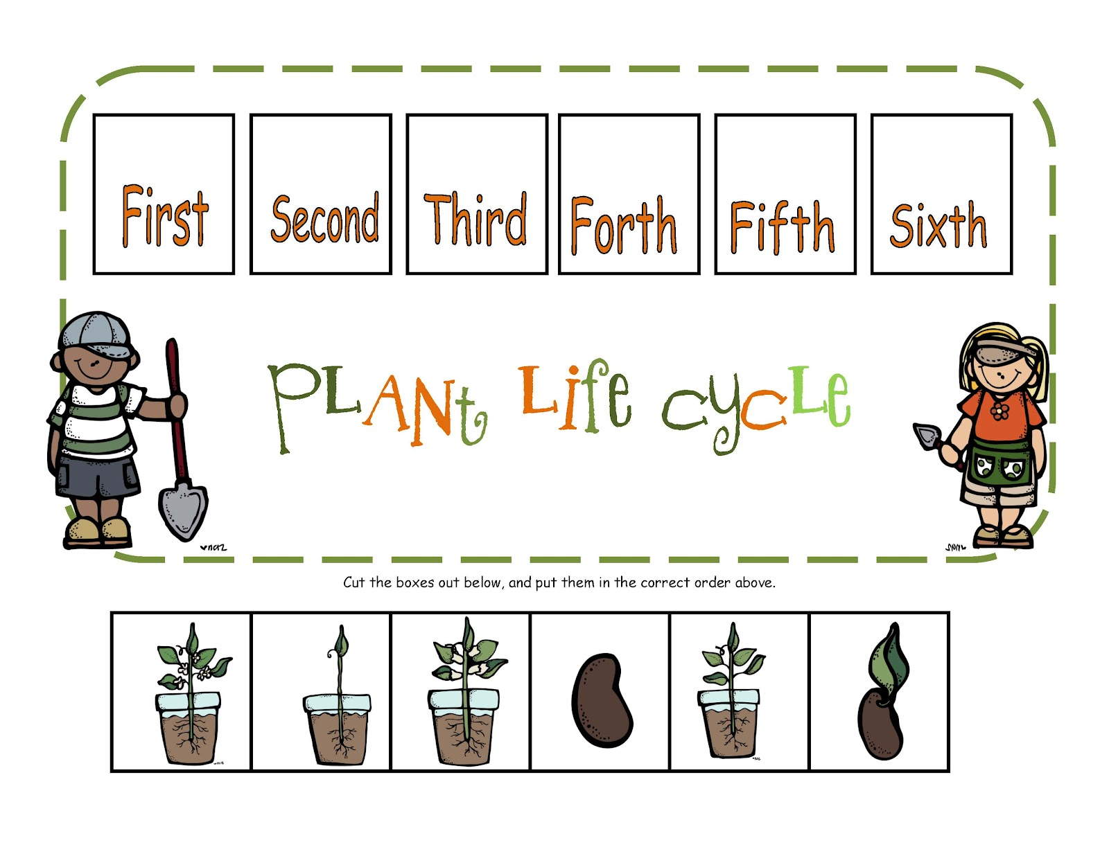 Plants On Pinterest Plant Life Cycles Life Cycles And Emergent Readers