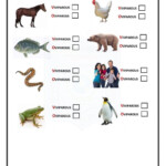 Pop Quiz animal And Plant Life Cycle second Term Science Worksheet