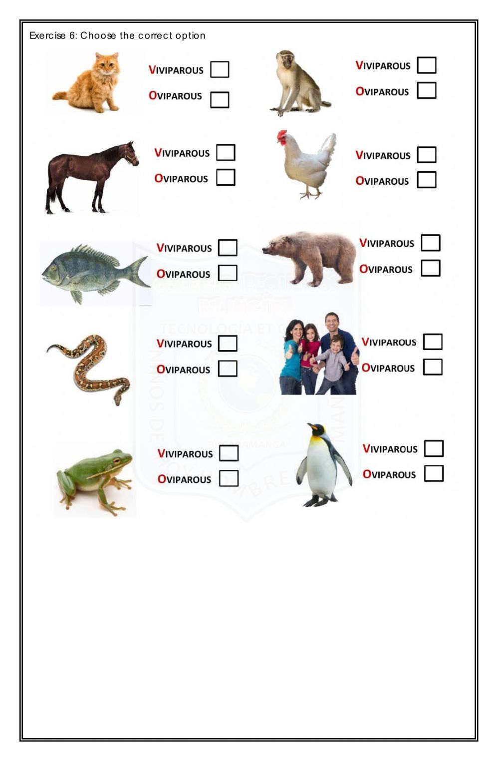 Pop Quiz animal And Plant Life Cycle second Term Science Worksheet