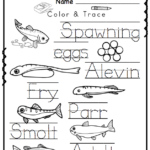 Preschool Packet Salmon Life Cycle Preschool Printables