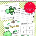 Preschool Sea Turtle Life Cycle Printable Unit Study Turtle Life