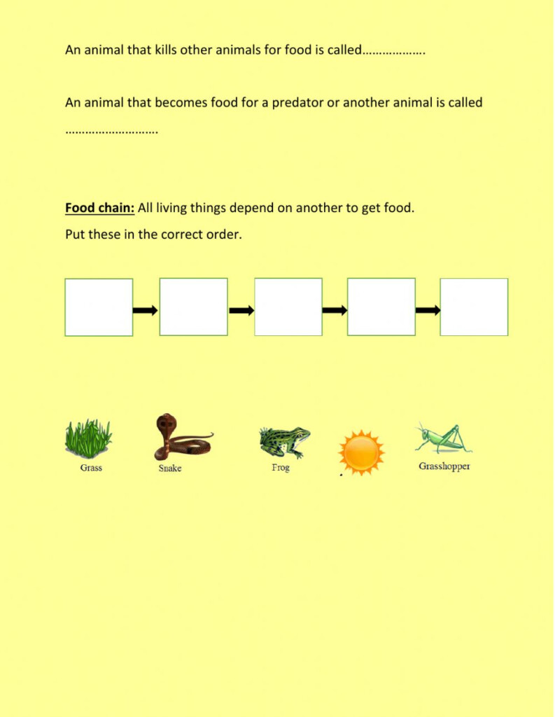 Prey Predator Worksheet