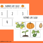 Printable Pumpkin Life Cycle Worksheets Pumpkin Life Cycle Life