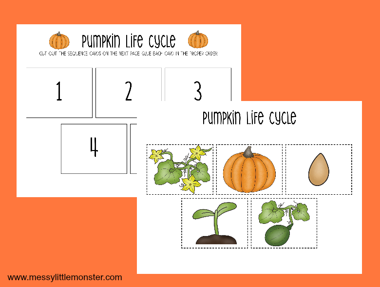 Printable Pumpkin Life Cycle Worksheets Pumpkin Life Cycle Life 