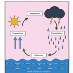 Printable Water Cycle Worksheets For Preschools Water Cycle Cycle