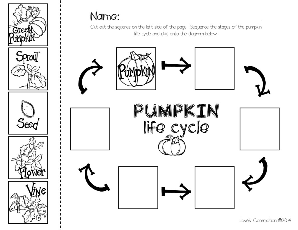 Pumpkin Life Cycle Worksheet Pdf Worksheets