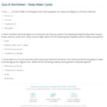 Quiz Worksheet Sleep Wake Cycles Study