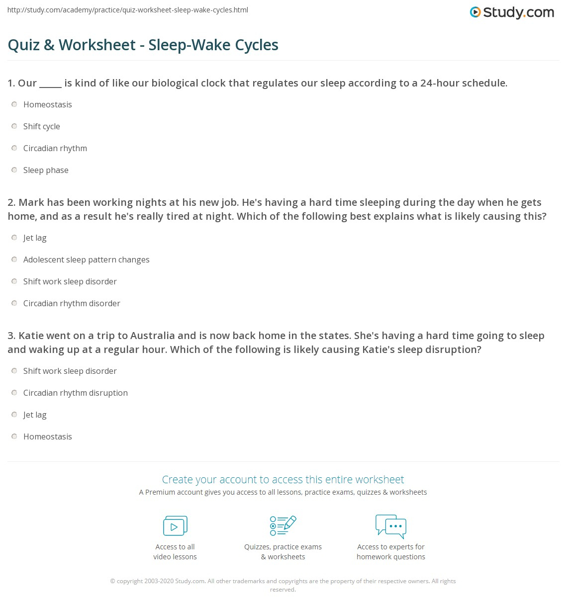 Quiz Worksheet Sleep Wake Cycles Study