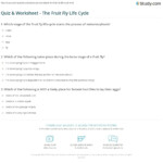 Quiz Worksheet The Fruit Fly Life Cycle Study