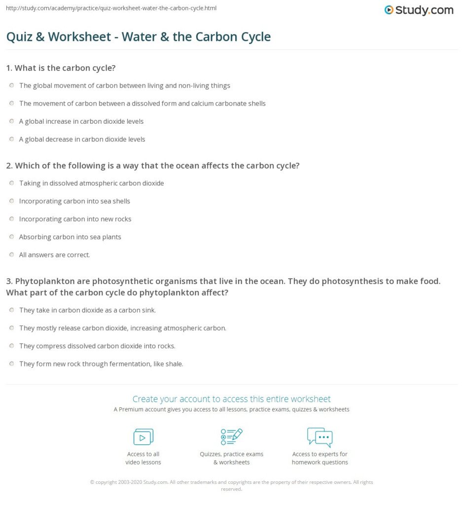 Quiz Worksheet Water The Carbon Cycle Study