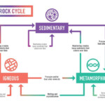 Rock Cycle Worksheet Answers Rock Cycle 8th Grade Science In 2020