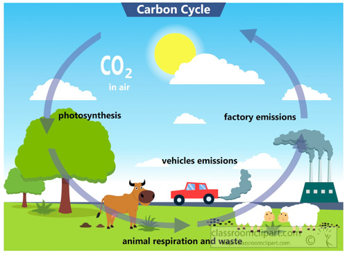 Science Clipart Carbon cycle clipart Classroom Clipart