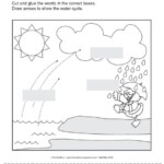 Science Worksheet Water Cycle The Mailbox Water Cycle Water Cycle