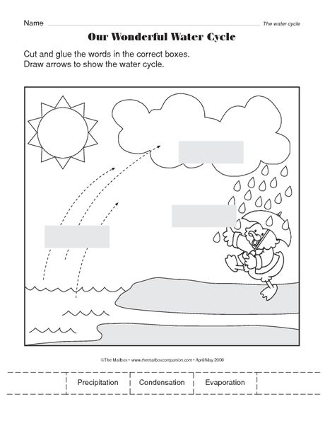 Science Worksheet Water Cycle The Mailbox Water Cycle Water Cycle 