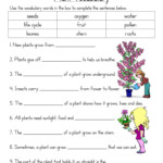 Search Results For Plant Life Cycle Seed Worksheet Calendar 2015