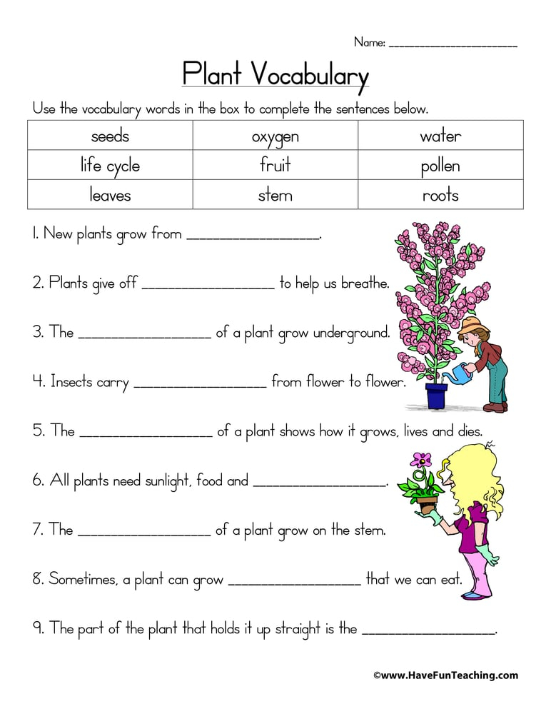 Search Results For Plant Life Cycle Seed Worksheet Calendar 2015