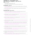 Section 9 2 The Krebs Cycle And Electron Transport Answer Key Fill