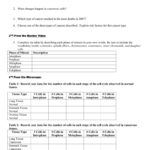 Skin Cancer Investigation Worksheet Answers TUTORE ORG Master Of