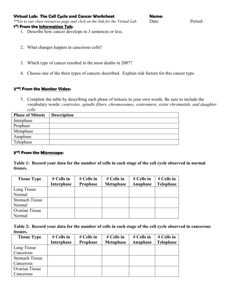 Skin Cancer Investigation Worksheet Answers TUTORE ORG Master Of 