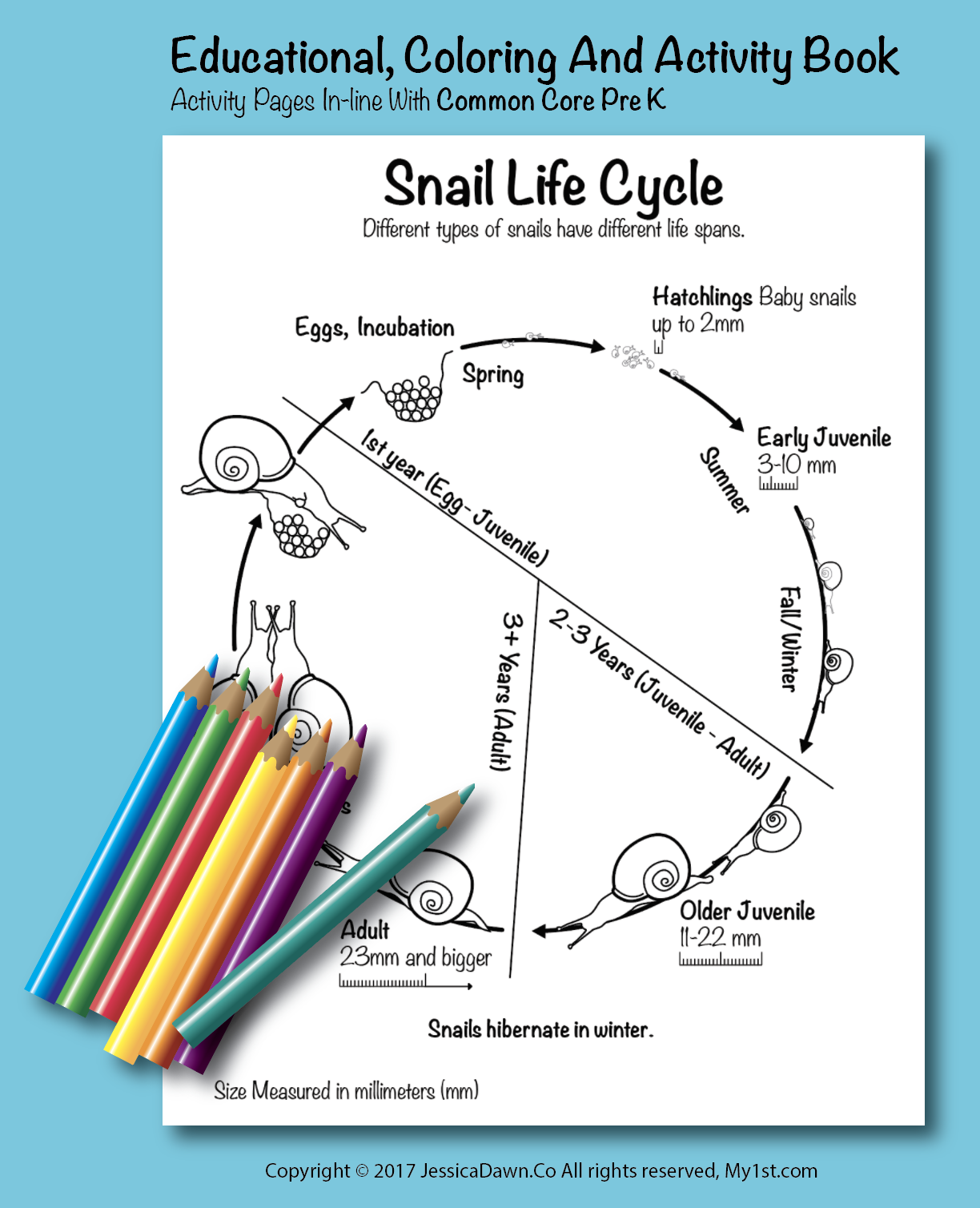 Snail Life Cycle My1st Coloring Page Fun And Educational Snail 