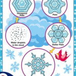 Snowflakes Theme Printables In 2020 Life Cycles