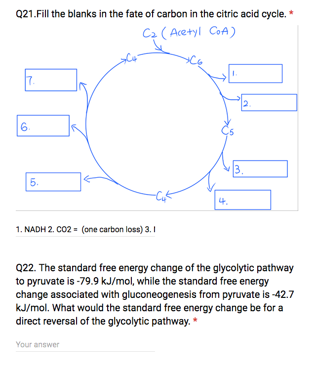 Solved Fill The Blanks In The Fate Of Carbon In The Citri Chegg