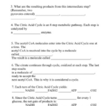 Solved KREB S CYCLE Worksheet 1 If Is Present The Two P Chegg