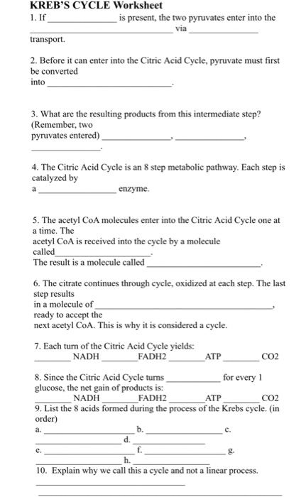Solved KREB S CYCLE Worksheet 1 If Is Present The Two P Chegg
