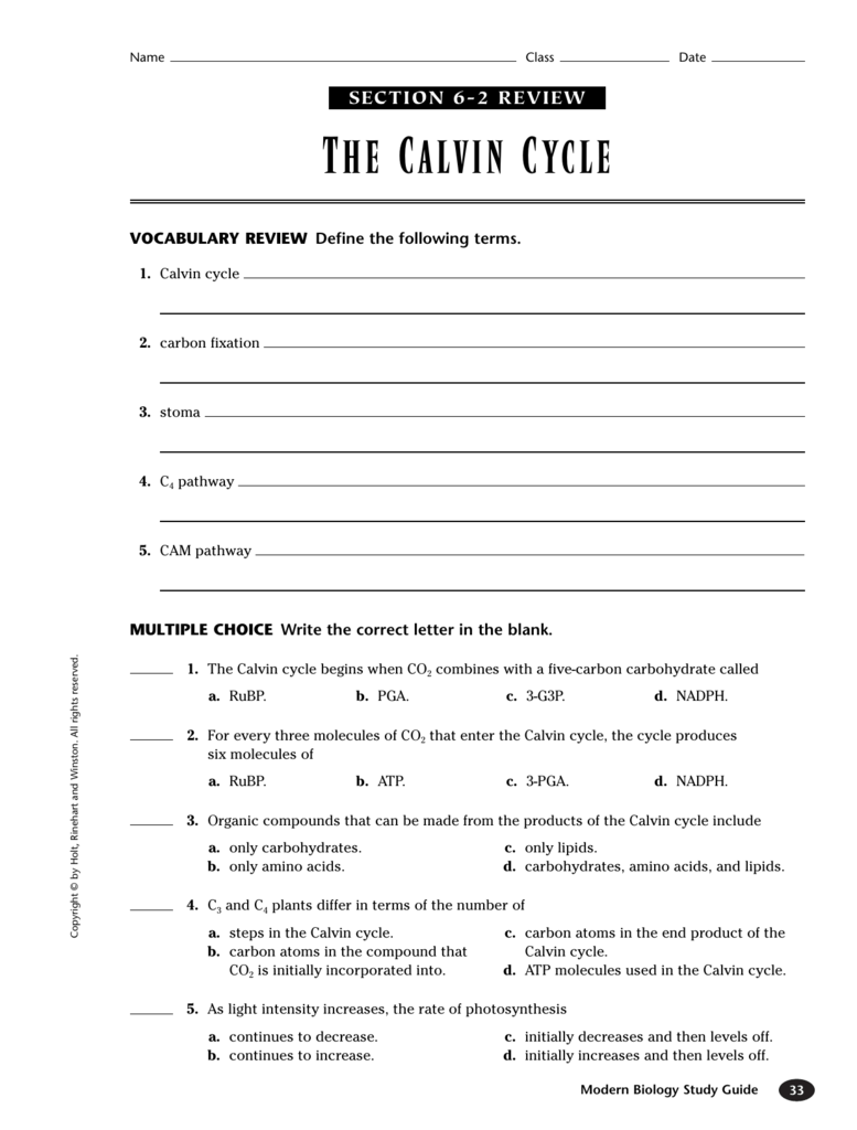 The Calvin Cycle Chapter 6 2 Worksheet