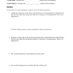 The Carbon Cycle And The Greenhouse Effect Worksheet