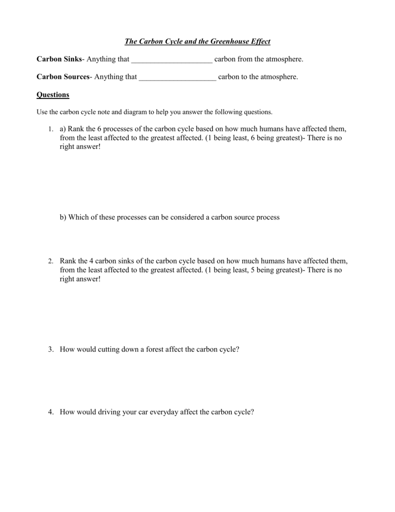 The Carbon Cycle And The Greenhouse Effect Worksheet