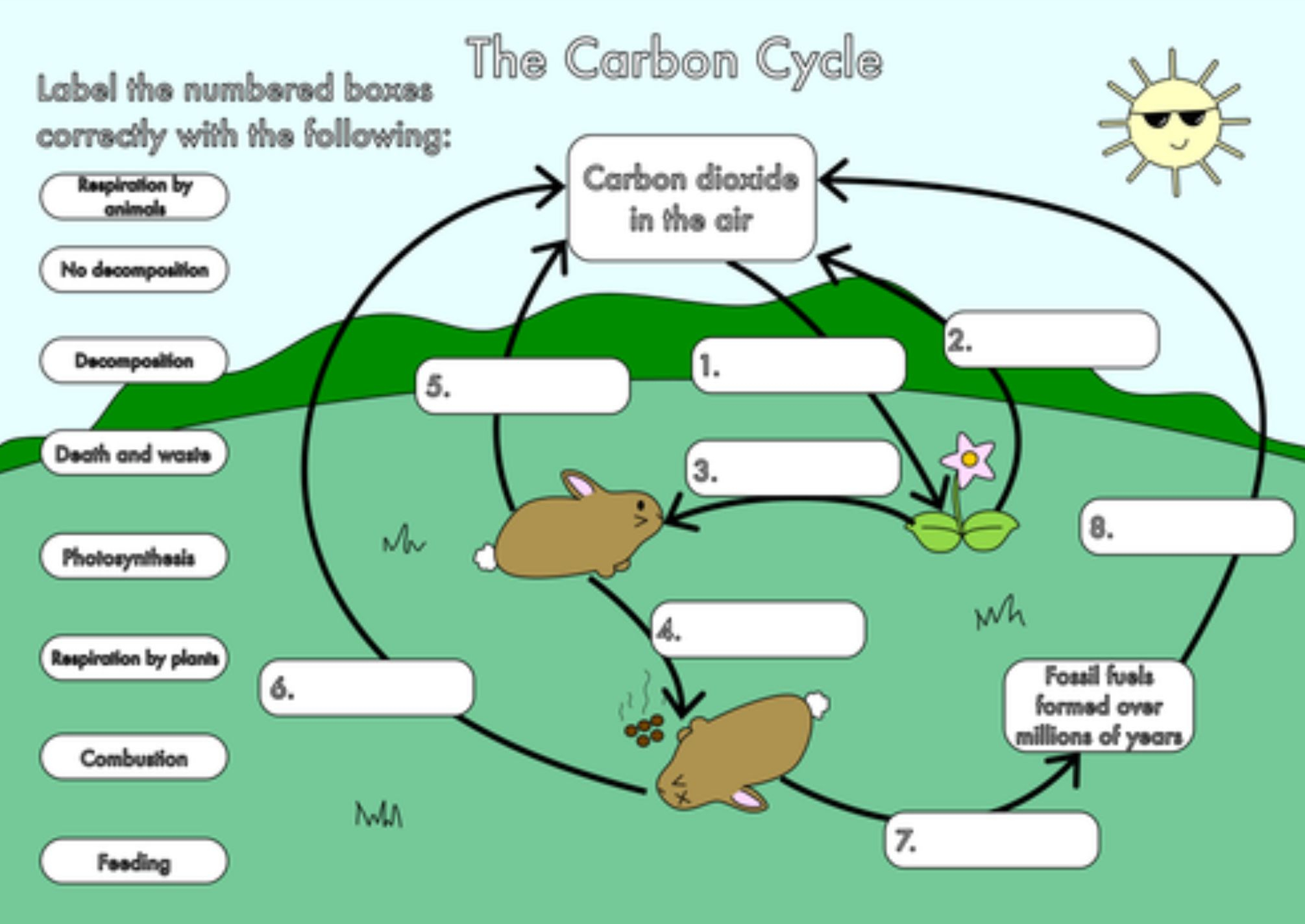 The Carbon Cycle Worksheet 1 Thursday May 23 2019 Carbon Cycle