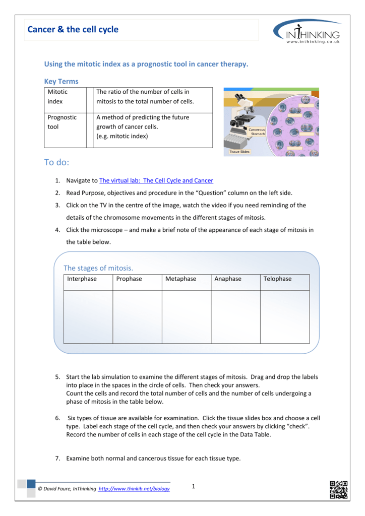 The Cell Cycle Worksheet Answers Nidecmege