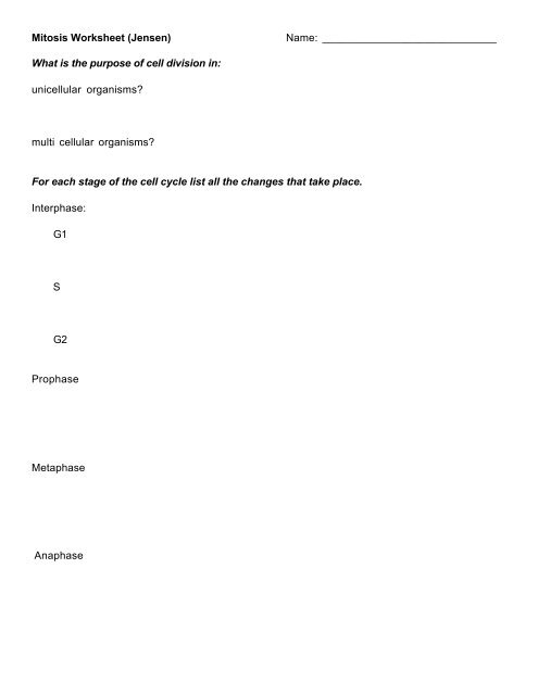 The Cell Cycle Worksheet Worksheet List