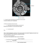 The Eukaryotic Cell Cycle And Cancer Overview Student Worksheet pdf