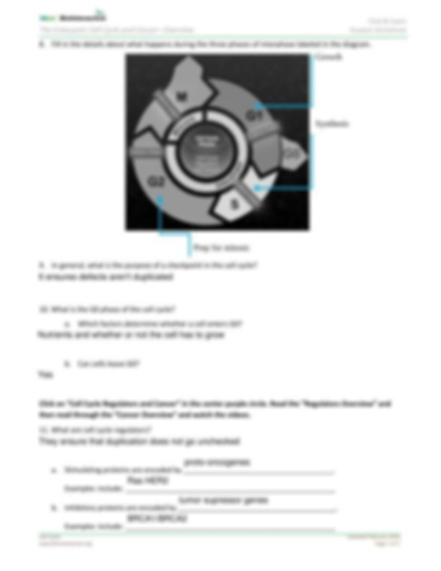 The Eukaryotic Cell Cycle And Cancer Overview Student Worksheet pdf 