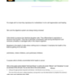 The Eukaryotic Cell Cycle And Cancer Overview Student Worksheet pdf