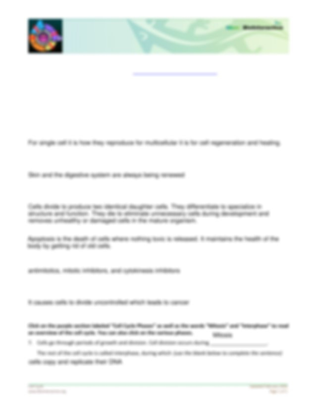 The Eukaryotic Cell Cycle And Cancer Overview Student Worksheet pdf